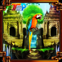 play Top10 Rescue Parrot From Curse