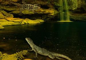 play Escape From Lizard Forest