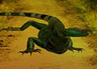 play Escape From Lizard Forest