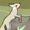 play Paws