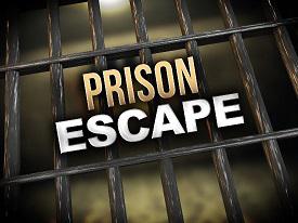play Choose Your Escape