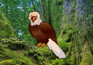 play Eagle Forest Escape (Big Escape Games