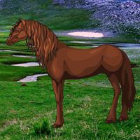 play Escape Game Save The Exmoor Pony