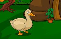 play Cute Duck Escape