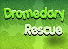 play Dromedary Rescue