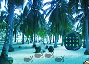 play Coconut Farm Island Escape