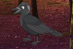 play Escape Game Forest Raven