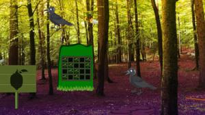 play Escape From Forest Raven
