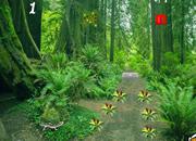 play Baby Elephant Forest Rescue