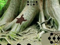 play Big Giraffe Escape