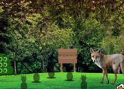 play Wild Fox Forest Escape