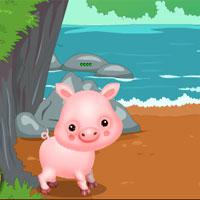 play Naughty-Pig-Escape