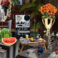 play Clumsy-Realestate-Agent-Hidden247