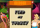 Find My Turkey