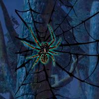 Black Widow Spider Forest Escape