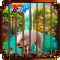 play Top10 Rescue The Pig