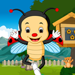 play Shell Lady Beetle Rescue