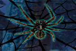 play Black Widow Spider Forest Escape