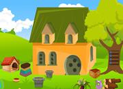 play Shell Lady Beetle Rescue