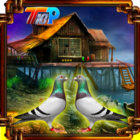 play Top10 Rescue The Pigeon