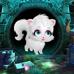 play Cute White Cat Rescue 2018