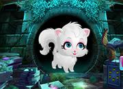 play Cute White Cat Rescue 2018