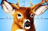 Deer Hunter