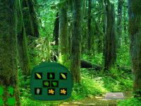 Bosky Forest Escape