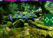 play Bosky Forest Escape