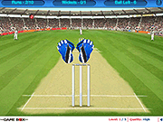 play Cricket Wicket