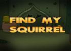 Find My Squirrel
