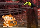 play Bird Forest Escape