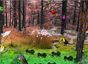 play Bird Forest Escape