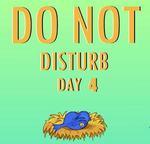 Nsrgames Do Not Disturb Day 4