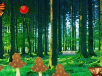 play Verdurous Forest Escape