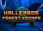 play Hallerbos Forest Escape
