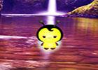 Bumble Bee Forest Escape