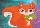 play Orange Squirrel Rescue