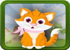 play G4E Cat Rescue