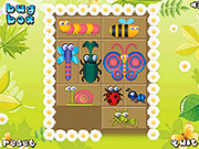 Bug Box