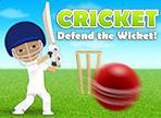 play Cricket Defend The Wicket!