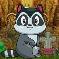 play Games4King-Cute-Raccoon-Escape
