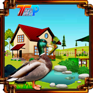 play Rescue The Duck