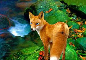 play Blue Eyed Fox Forest Escape