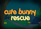 play Nsrgames Cute Bunny Rescue