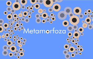 play Metamorfoza