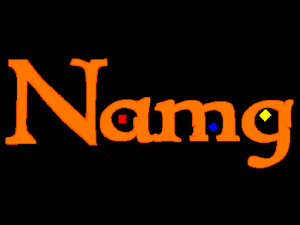play Namg (Not Another Multiplication Game)