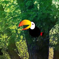Wowescape-Bio-Forest-Escape
