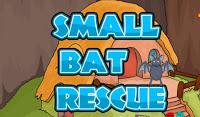 G2J Small Bat Rescue