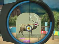 play Hunter 3D